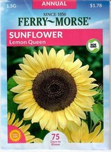 GIB Sunflower Lemon Queen Flower Seeds Ferry Morse  - $9.00
