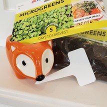 Fox Planter with Microgreens Seed Kit, gardening gift, ceramic animal planter image 5