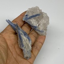 93.5g, 2.4&quot;-3.2&quot;, 2pcs, Rough Raw Blue Kyanite Chunk Mineral @Brazil, B32851 - £15.02 GBP