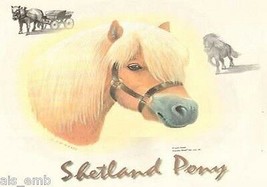 Shetland Pony T-Shirt Heat Press Transfer For Shirt Tote Sweatshirt Fabric #241 - $6.50