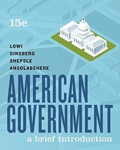 American Government: A Brief Introduction - £32.15 GBP