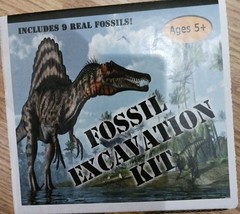 Real Fossil Dig Kit for Kids - Boys &amp; Girls Age 5 + 9 Real Fossils Included New - £16.06 GBP