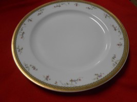 Beautiful HAVILAND CHINA Limoges France DINNER Plate #1 Pattern ???? - £5.32 GBP