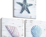 Tideandtales Beach Wall Decor 3D Seashell Art (Set Of 3) Rustic Beach House - £29.74 GBP