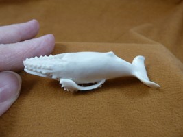 Whale-w75 little Humpback Whale shed ANTLER figurine Bali detailed i lov... - $69.18