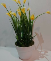 Artificial Potted Zantedeschia Clear Plant 28cm Tall Calla Lilly in White Pot - £14.63 GBP