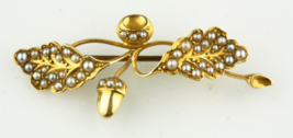 14k Yellow Gold Victorian Oak Blossom Seed Pearl Brooch Gorgeous - £424.97 GBP