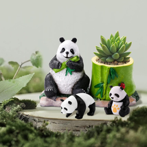 Miracleson Succulent Pots with Drainage,Succulent Planters,Lucky Panda Succulent - £21.98 GBP