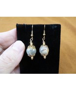 DP1-23g REAL DINOSAUR POOP 12mm bead dangle EARRINGS Utah ancient Dino C... - $25.97 CAD