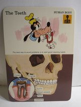 1978 Walt Disney&#39;s Fun &amp; Facts Flashcard #DFF4-19: The Teeth - £1.56 GBP