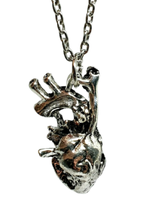 Heart Necklace Pendant Anatomical 3d Biology Statement Silver Tone Jewellery - £4.26 GBP