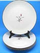 Franciscan Carmel 10.5&quot;Dinner Plates Bundle of 4 - $39.00