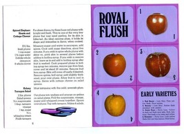 Plum Lucky Recipe Booklet Casino Gambling Theme - $14.85