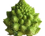 Romanesco Broccoli Seeds 150  Seeds Non Gmo Fast Shipping - $8.99