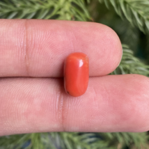 Natural Coral Gemstone, Coral Cabochon,Oval Shape Coral, Jewelry Making ... - $14.00