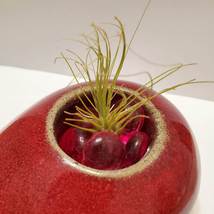 Air Plant in Upcycled Candle Holder, Tealight Holder, Red Pottery Airplant Pot image 3