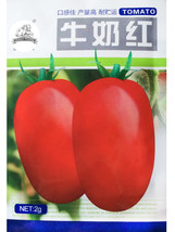 Heirloom &#39;Tiger Colorful&#39; L Tomato F2 Seeds, Original Pack, 150 Seeds / ... - £2.78 GBP