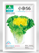 Xiao Za 56 Fast Growing Yellow Heart Chinese Cabbage Ideal For Dense Planting He - $5.98