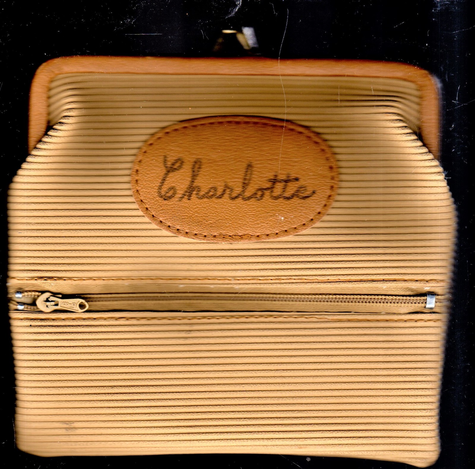 Women&#39;s Travel Case - Monogramed Charlotte - $7.50