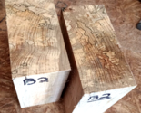 TWO (2) SPALTED BEECH BOWL BLANK LATHE TURNING LUMBER WOOD 6&quot; X 6&quot; X 3&quot; B2 - $36.58