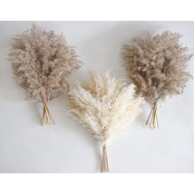 Boho Decor, Fluffy Pompas Grass, Natural Dry Pampas Grass Small, Short Pampass B - £20.77 GBP