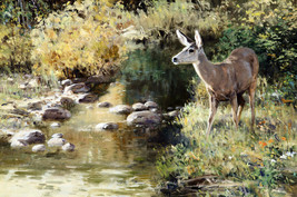 Framed canvas art print giclee Summer Creek Mule Deer wildlife nature woodland - £31.47 GBP+
