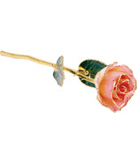 Lacquered Cream Pink Rose with Gold Trim - £80.54 GBP