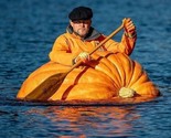 10 Ct Dill&#39;S Atlantic Giant Pumpkin Seeds Heirloom World Record Non Gmo ... - $8.99