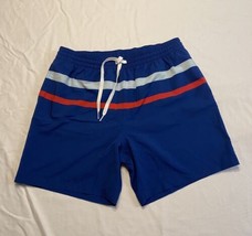 Chubbies Lined Classic Swim Trunks Mens Large 5.5 Inseam Navy Blue Stripes - $33.87