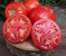 50 Seeds Wisconsin &quot;55&quot; Tomato Heirloom Tomatoes Juicy Vegetable Usa Seller - $9.32