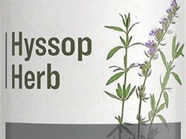 HYSSOP FLOWERING HERB Single Liquid Extract Herbal Tincture Made in USA - $24.97
