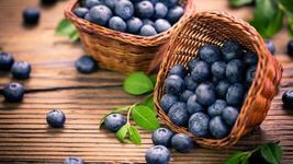 250 Northern Highbush Blueberry Seeds USA Heirloom Non-GMO - £6.78 GBP