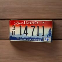1999 Scenic Idaho License Plate Benewah County Big Pine On (R) 3B 14711 ... - $20.00