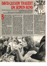 David Cassidy teen magazine pinup clipping not in english kissing a dog - $1.50