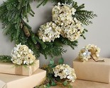 Set of 6 Hydrangea Clips by Valerie in Champagne - $193.99