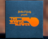 The Whistle Blower by O&#39;Grady Creations - Trick - £27.18 GBP