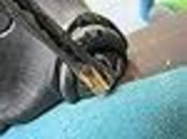 Item image 15