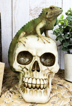 Jointed Human Skull With Iguana Lizard Figurine Halloween Spooky Macabre Decor - £23.97 GBP