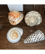 Assorted seashell decor pieces - £12.35 GBP
