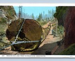 Snaking Big Logs From the Mountains Washington State WA UNP WB Postcard Q5 - £6.95 GBP
