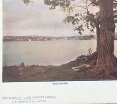 1920s Wolfboro NH Lake Winnipesaukee Scenic View Postcard New Hampshire - £6.75 GBP