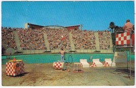 Postcard Sea Arena From Backstage Marineland Of The Pacific Long Beach CA - £3.86 GBP