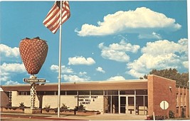 Strawberry Point, Iowa, World&#39;s Largest Strawberry, vintage post card - £9.40 GBP