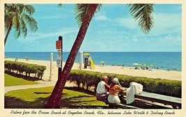 Lake Worth Delray Beach Florida~Palms Face The Oc EAN~Boynton Beach Postcard - £10.06 GBP