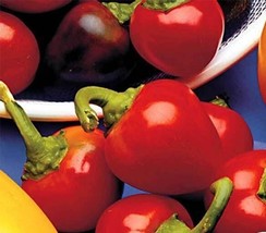 Item image 1 image 1