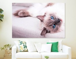 Blue Cat Canvas Print Cat Decor Cats Wall Art Blue Eyed Cat Poster Cat Lover Gif - £39.40 GBP