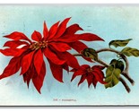 Poinsettia Flower Blossoms DB Postcard Z6 - £1.51 GBP