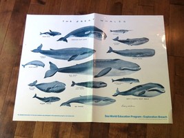 Vintage Homeschool Sea World Whale Education Program Laminated Poster 22... - $14.80