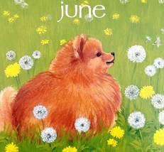 Pomeranian Dandelions June Days Poster Calendar 14 x 11&quot; Art Leigh DWDDCal - £23.56 GBP
