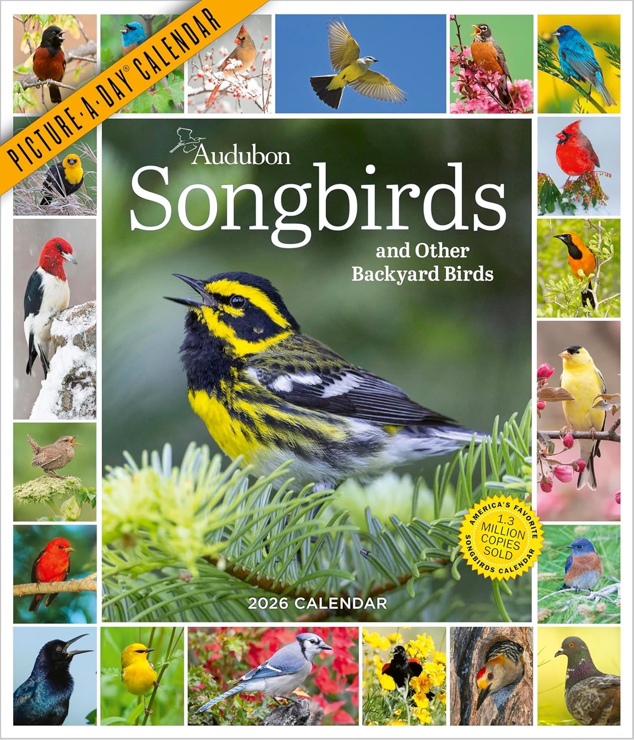 Audubon Songbirds And Other Backyard Birds Picture-A-Day® Wall Calendar ... - $18.00